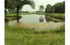 Property photo 11 - 160 Acres Offered in 6 Tracts